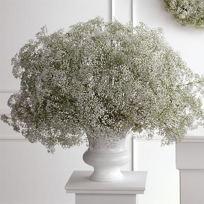 Baby's Breath Urn Arrangement : Kingsport, TN Florist : Same Day Flower  Delivery for any occasion